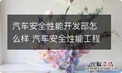 汽车安全性能开发部怎么样 汽车安全性能工程师