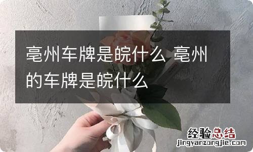 亳州车牌是皖什么 亳州的车牌是皖什么