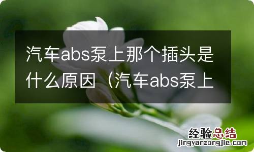 汽车abs泵上那个插头是什么原因造成的 汽车abs泵上那个插头是什么原因