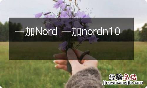 一加Nord 一加nordn10