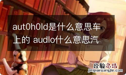 aut0h0ld是什么意思车上的 audlo什么意思汽车上