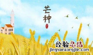 芒种节气的由来及气候特点 芒种节气的由来及气候特点图片