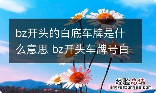 bz开头的白底车牌是什么意思 bz开头车牌号白底黑字