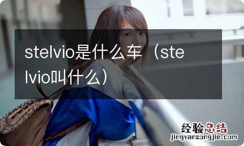 stelvio叫什么 stelvio是什么车