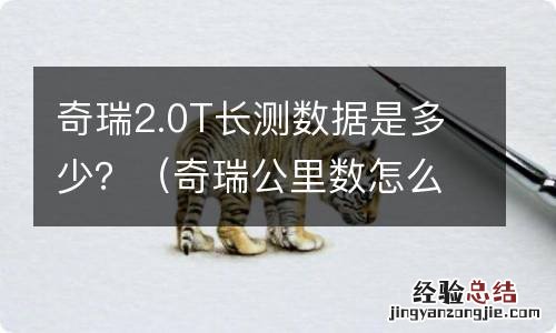 奇瑞公里数怎么看 奇瑞2.0T长测数据是多少？