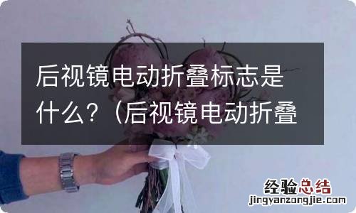 后视镜电动折叠标志是什么样子的 后视镜电动折叠标志是什么?