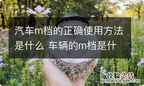 汽车m档的正确使用方法是什么 车辆的m档是什么用的