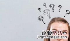 广东队yyds什么意思 广东队yyds啥意思