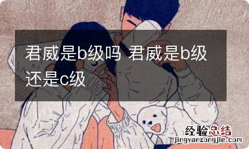 君威是b级吗 君威是b级还是c级