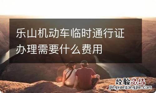 乐山机动车临时通行证办理需要什么费用