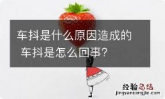 车抖是什么原因造成的 车抖是怎么回事?