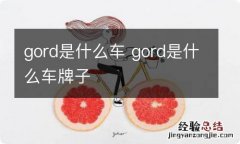 gord是什么车 gord是什么车牌子