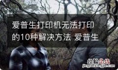 爱普生打印机无法打印的10种解决方法 爱普生打印机无法打印的10种解决方法视频