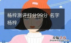 杨梓测评打分99分 名字杨梓