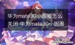 华为mate30小圆圈怎么关闭 华为mate30小圆圈如何关闭