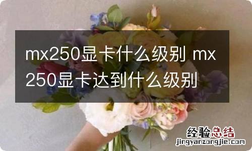 mx250显卡什么级别 mx250显卡达到什么级别