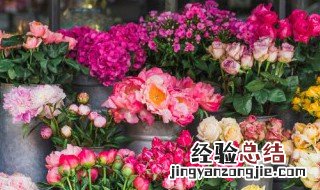 鲜花保鲜柜 鲜花保鲜