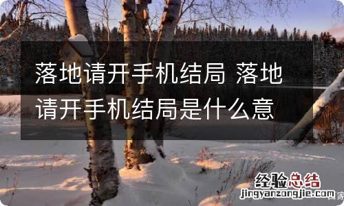 落地请开手机结局 落地请开手机结局是什么意思