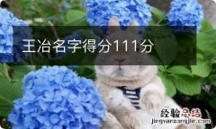 王冶名字得分111分