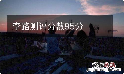 李路测评分数95分