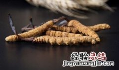 吃虫草的禁忌 吃虫草有什么禁忌吗