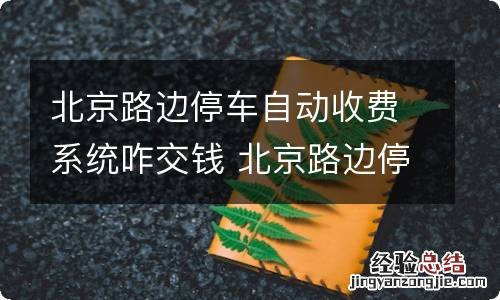 北京路边停车自动收费系统咋交钱 北京路边停车自动收费系统咋交钱 临时牌