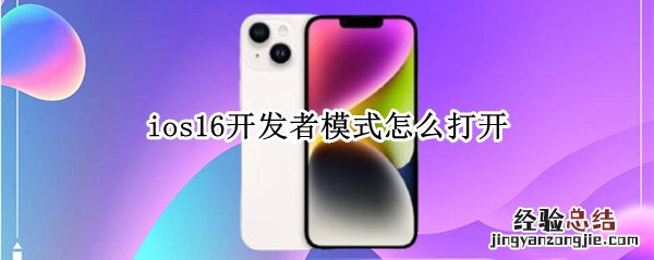 ios15开发者选项在哪里打开 ios16开发者模式怎么打开