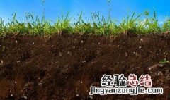 盐碱地种植方法有几种 盐碱地种植方法