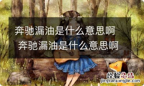 奔驰漏油是什么意思啊 奔驰漏油是什么意思啊视频