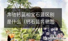 钙石蓝奔驰图片 奔驰钙蓝和宝石蓝区别是什么