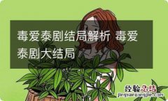 毒爱泰剧结局解析 毒爱泰剧大结局