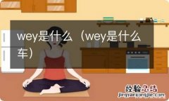 wey是什么车 wey是什么