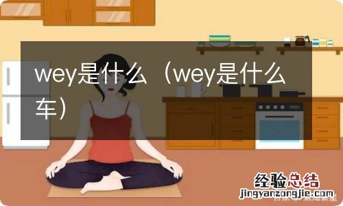 wey是什么车 wey是什么