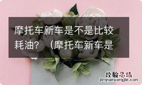 摩托车新车是不是比较耗油 摩托车新车是不是比较耗油？