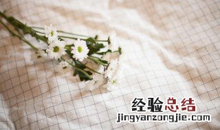 雏菊是送给死去的人吗 雏菊是送给死去的人吗