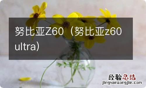 努比亚z60ultra 努比亚Z60