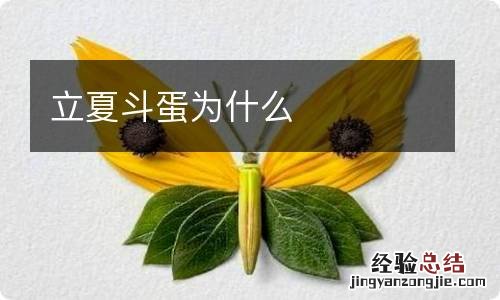 立夏斗蛋为什么