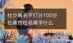 杜少甫名字打分100分 杜甫姓杜名甫字什么