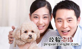 什么是丁克族的人 什么是丁克族