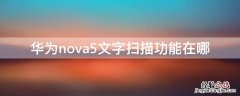 华为nova5文字扫描功能在哪