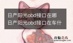 日产阳光obd接口在哪 日产阳光obd接口在车什么位置