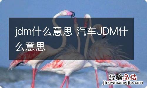 jdm什么意思 汽车JDM什么意思