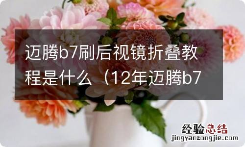 12年迈腾b7刷后视镜折叠 迈腾b7刷后视镜折叠教程是什么