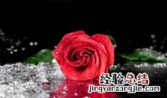 什么肥料保花 什么肥料保花保果