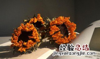 客厅放什么干花招财运好 客厅放什么干花好招财