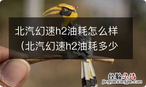 北汽幻速h2油耗多少钱一公里 北汽幻速h2油耗怎么样