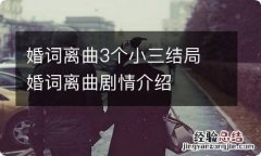 婚词离曲3个小三结局 婚词离曲剧情介绍