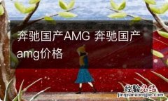 奔驰国产AMG 奔驰国产amg价格