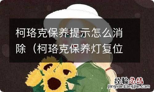 柯珞克保养灯复位 柯珞克保养提示怎么消除