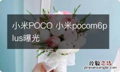 小米POCO 小米pocom6plus曝光